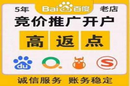 揭秘成功的关键词竞价排名背后的策略与执行
